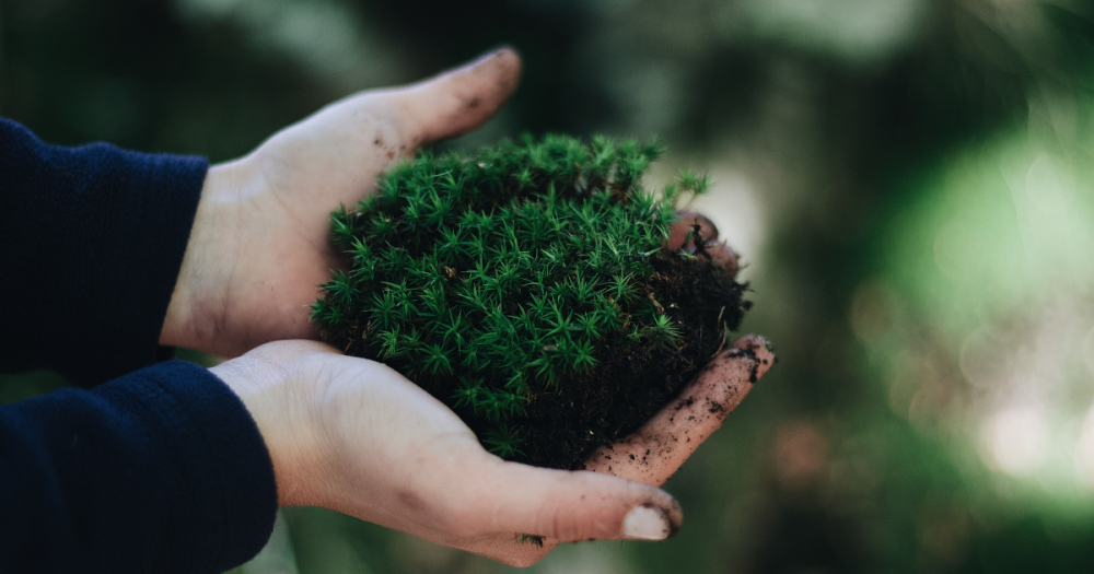 ISO 14001 sistema de gestión ambiental certificación empresas España
