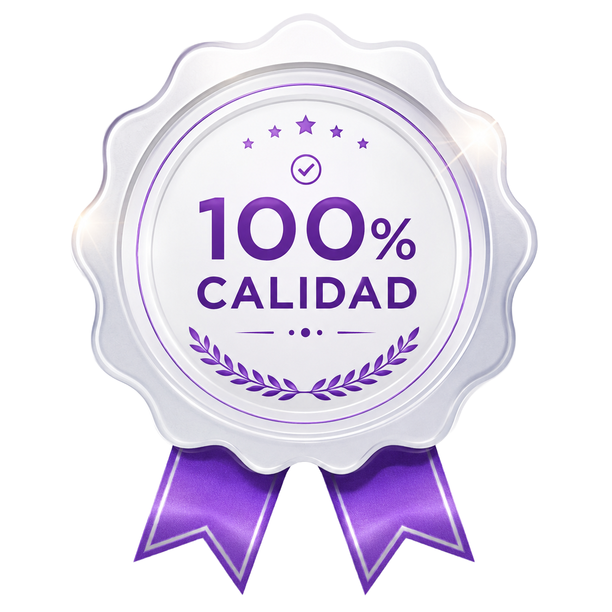 100 % Calidad Grupo PIC